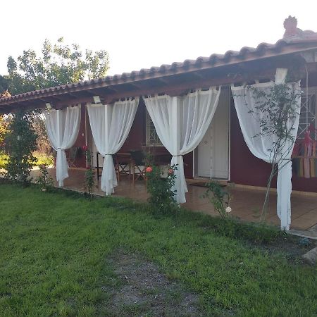 Olive Garden Guest House 基帕里夏 外观 照片