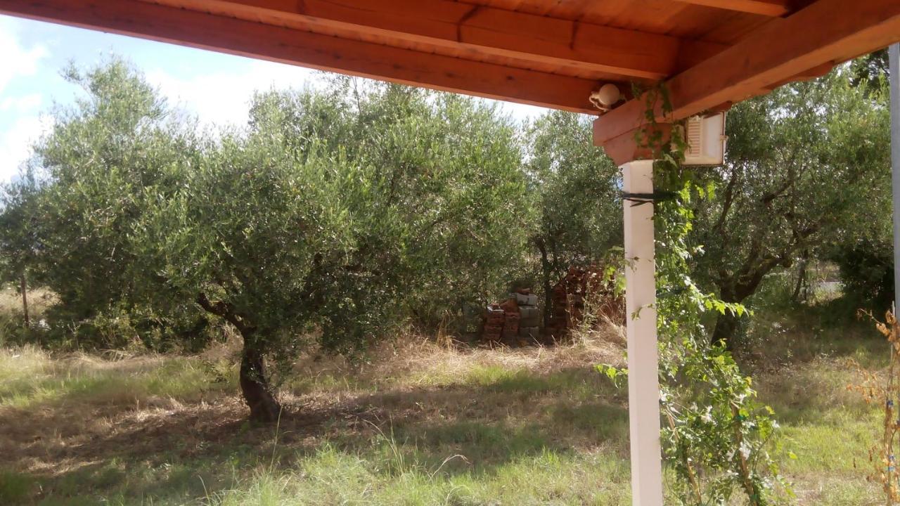 Olive Garden Guest House 基帕里夏 外观 照片