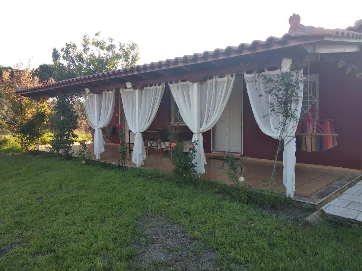 Olive Garden Guest House 基帕里夏 外观 照片